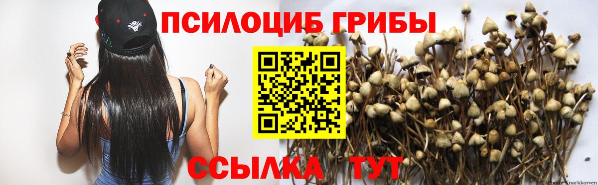 Прокопьевск  дарнет шоп  Вход с VPN  Галлюциногенные грибы мицелий 